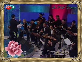 Neşe ÖZTAŞ *Ne Olursun Yanımda Kal* (2)