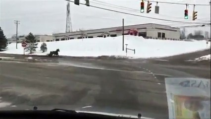 J'étais au feu rouge quand passe...