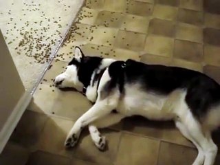 This is me on weekends..