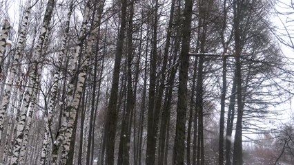 ливневый снег 9 февраля в Москве