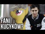 Ponad 10 faktów o Bronies - dorosłych fanach My Little Pony