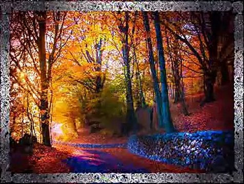 Alper DİLER *Vardım Ki Yurdundan Ayağ Göçülmüş*