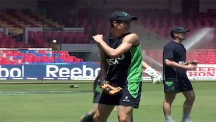 Past achievements spur Irish future