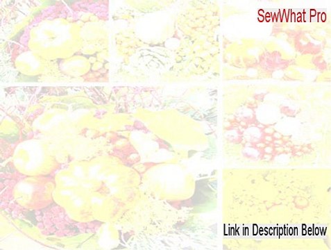SewWhat Pro (64-bit) Crack (sewwhat pro keygen 2015)