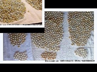Grosir mutiara lombok asli mutiara air laut jual mutiara ada sertivikat di Miss Joaquim WA 6287888894689