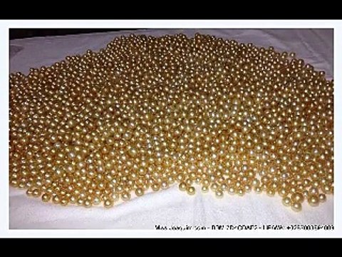 Jual Mutiara Butiran kualitas tinggi mutiara air laut dari toko mutiara lombok terpercaya Miss Joaquim Pearls