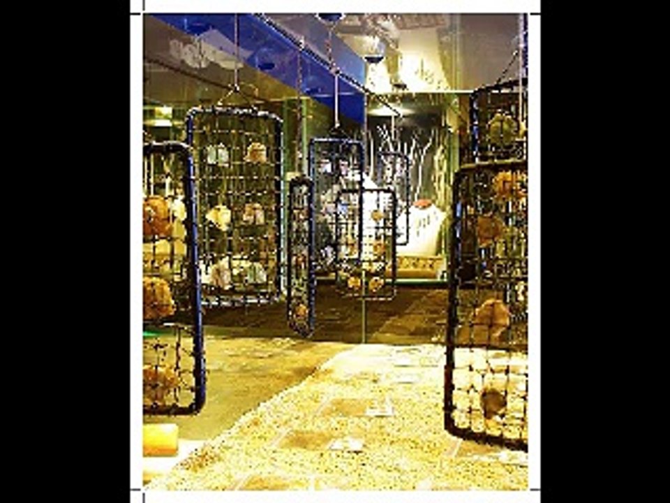 Mutiara Lombok Indonesia South Sea Pearls di jual di toko emas perhiasan mutiara lombok Miss Joaquim pearls