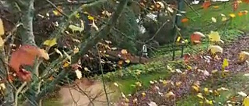 1920 Evil Returns Khud Ko Tere Full Video Song