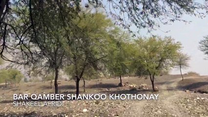 Khyber agency bar qamber shenkoo