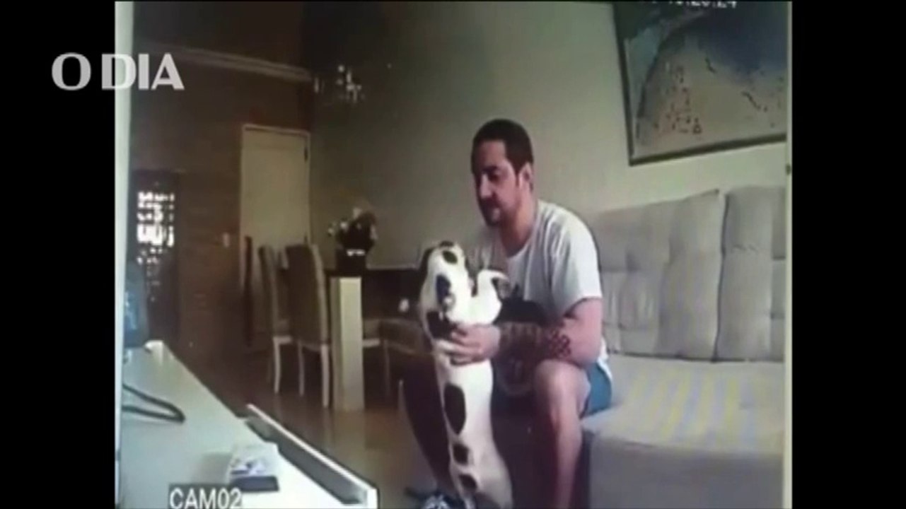 Frapper le chien de sa future femme : mauvaise idée!