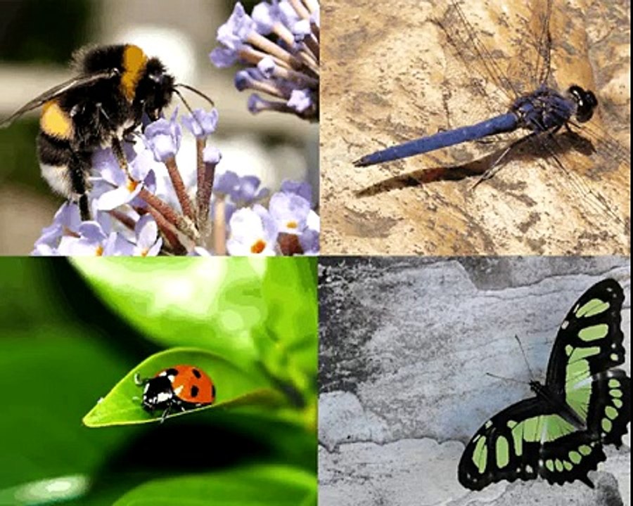 123456789 ABC Song 123 ABC Song Alphabet Clay Animation Collection 123 ABC song Videos For Kids