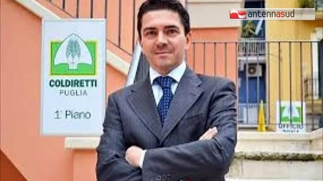 TG 09.02.15 Emergenza Xylella, Coldiretti chiede lo stato di calamità naturale