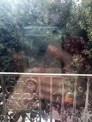 MeteoReporter Nard� 9/02/2015