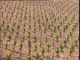 La Crète, l'île aux légendes