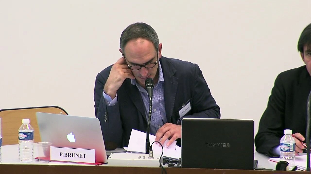 IMH_colloque RRJC_06_"La représentation démocratique face au procès constitutionnel", Pierre Brunet, Professeur de droit public à l’Université Paris-Ouest Nanterre La Défense, membre de l’Institut Universitaire de France.