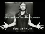 David Guetta ft. Emeli Sandè * Predators - What I Did For Love (RMX )
