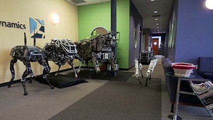 Spot, le chien-robot de la société Boston Dynamics