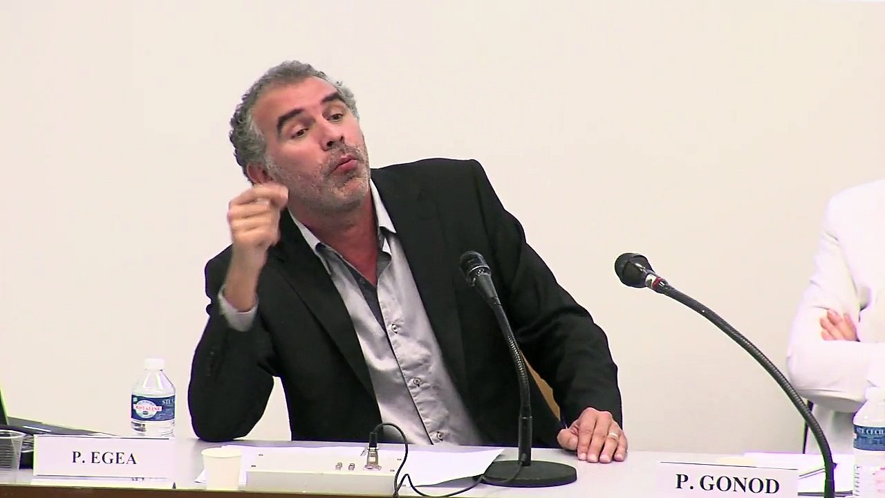 IMH_colloque RRJC_17_"Légitimation et efficience de la garantie des droits par le juge constitutionnel : une protection des droits contre l’intérêt général contrariée ?", Pierre Egéa, Professeur de droit public à l’Université Toulouse 1 Capitole.