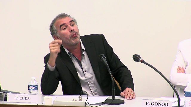 IMH_colloque RRJC_17_ Légitimation et efficience de la garantie des droits par le juge constitutionnel : une protection des droits contre l’intérêt général contrariée ? , Pierre Egéa, Professeur de droit public à l’Université Toulouse 1 Capitole.