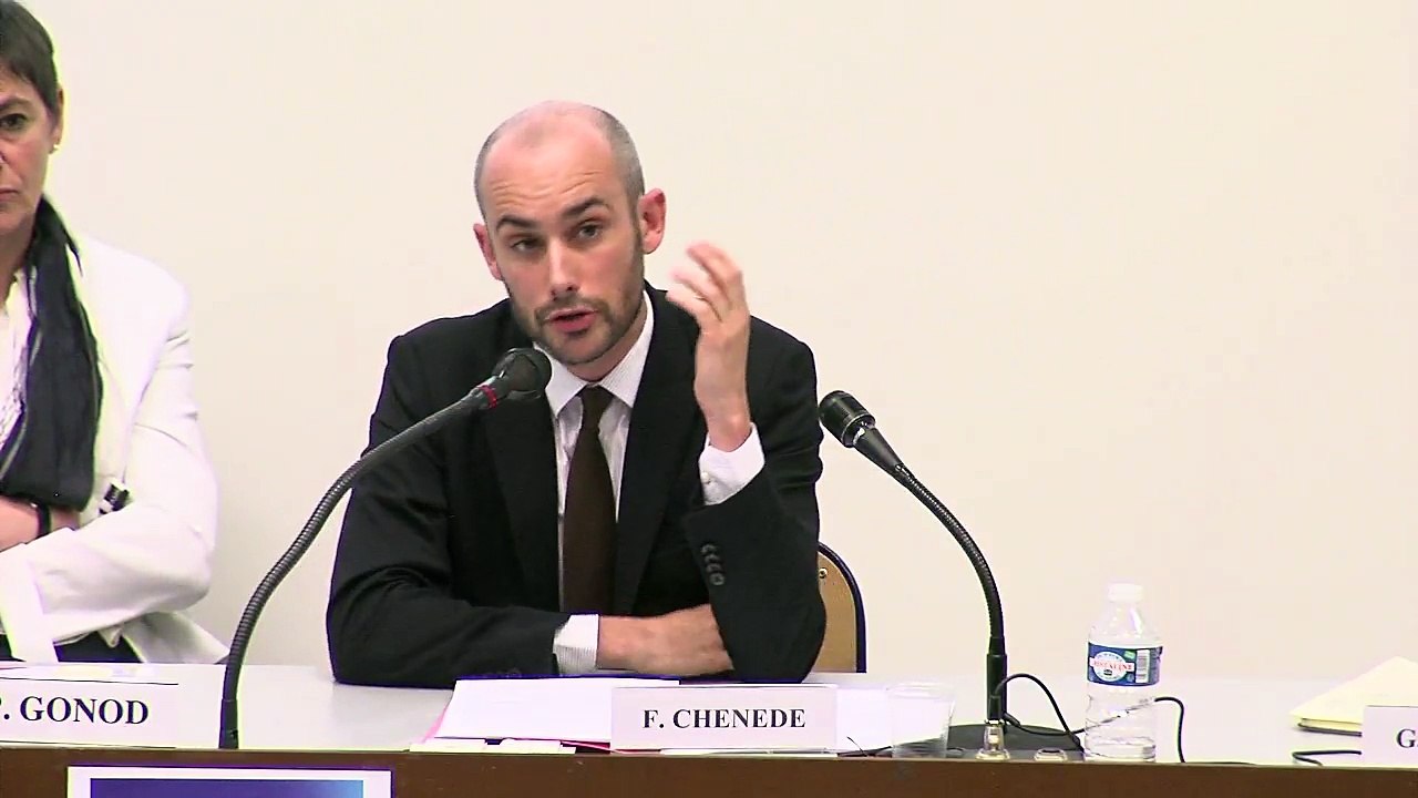 IMH_colloque RRJC_18_"Légitimation et efficience de la garantie des droits constitutionnels par le juge judiciaire : une protection des droits contre l’intérêt général esquivée ?", François Chénedé, Professeur de droit privé à l’Université de Lyon 3