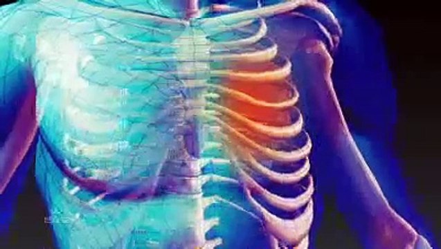 ¿Que son las toxinas?