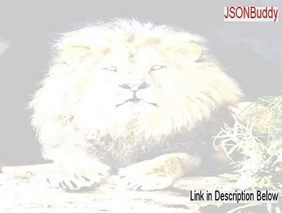 JSONBuddy Download Free - JSONBuddyjsonbuddy 2015