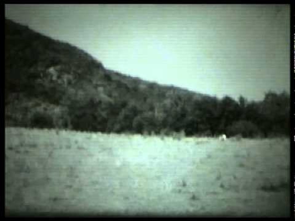 SYD MATTERS -  Ghost Videos (HD)