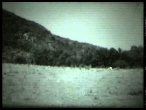 SYD MATTERS - Ghost Videos (HD)