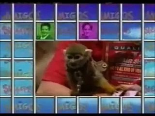 Amigos Para Sempre - Capítulo 22