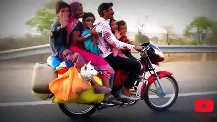 Cachorros Amam Bicicletas