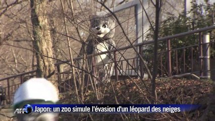 Scène improbable au zoo de Tokyo : une simulation d'évasion d'animaux