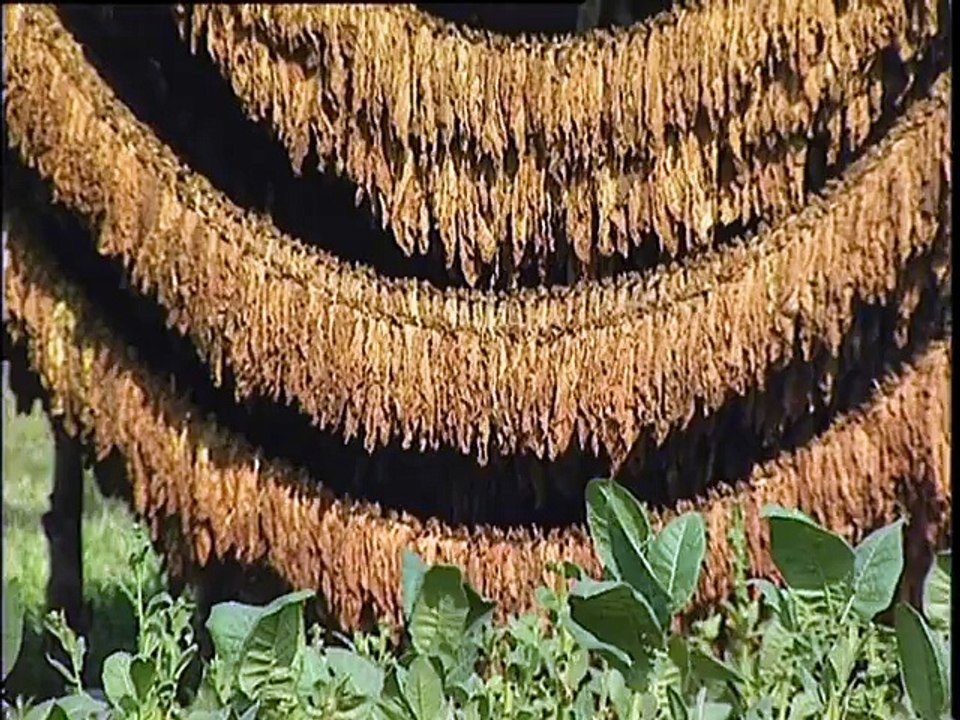 Les Grandes Antilles, République dominicaine, Haïti, Jama...
