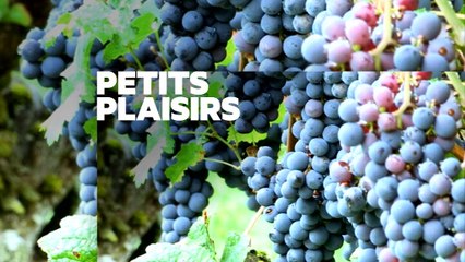 Echappées belles : Au fil de la Garonne (14/02/2015) - Bande-annonce
