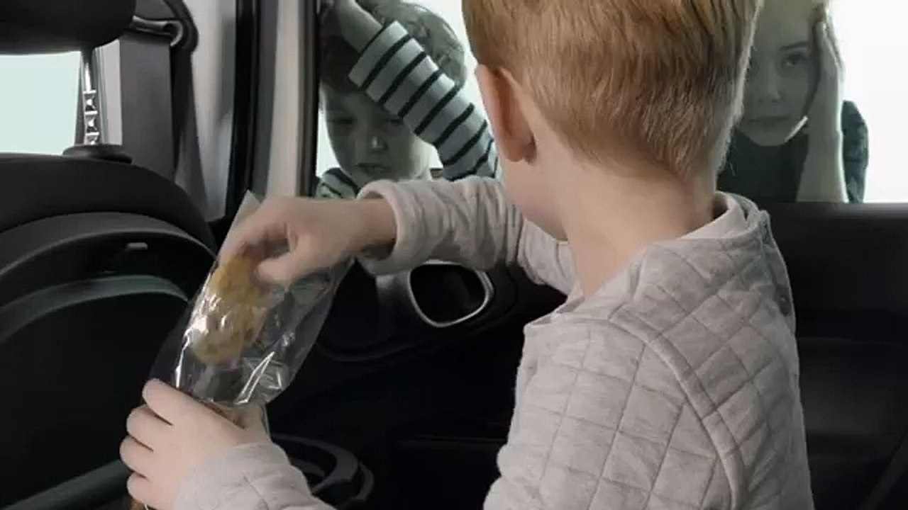 Leo Burnett France pour Fiat - voiture Fiat 500L Petit Bateau, «Pour petits et grands enfants» - février 2015 - cookies