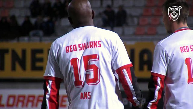 15 ans de Red Sharks