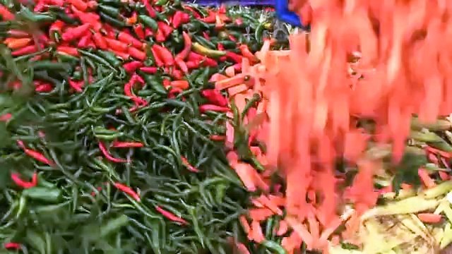 TV3 - Sense ficció - Teaser de Sobreviure a la nevera