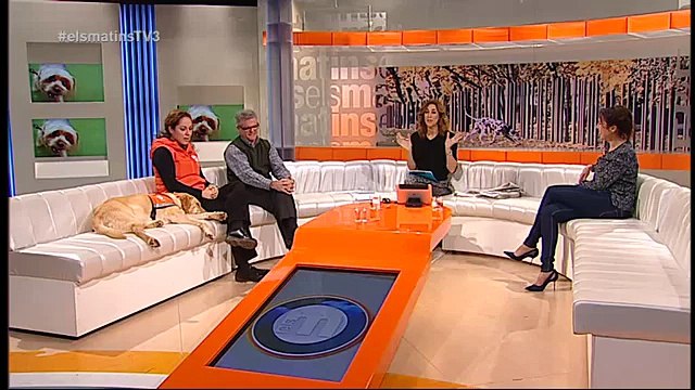 TV3 - Els Matins - Mantenir les xemeneies per evitar intoxicacions