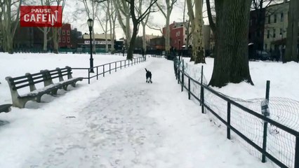 Il se moque de son chien mais le karma va lui donner de ses nouvelles