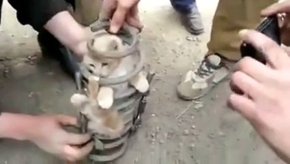 Faith in humanity: restored.