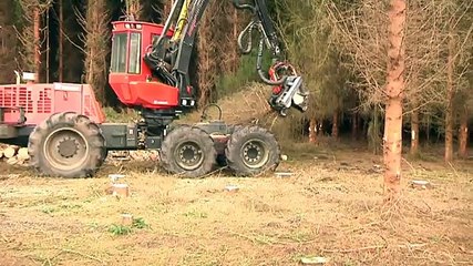 Duizenden bomen gaan volautomatisch tegen de vlakte - RTV Noord