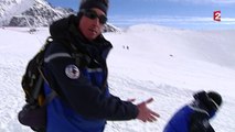 Rencontre avec les chiens d'avalanches des Alpes