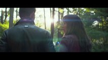 “50 Shades of Buscemi”, le trailer de “50 Shades of Grey” revu et corrigé avec Steve Buscemi