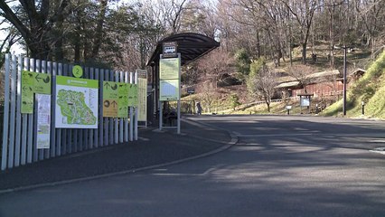 Cómo no escaparse de un zoo en Tokio