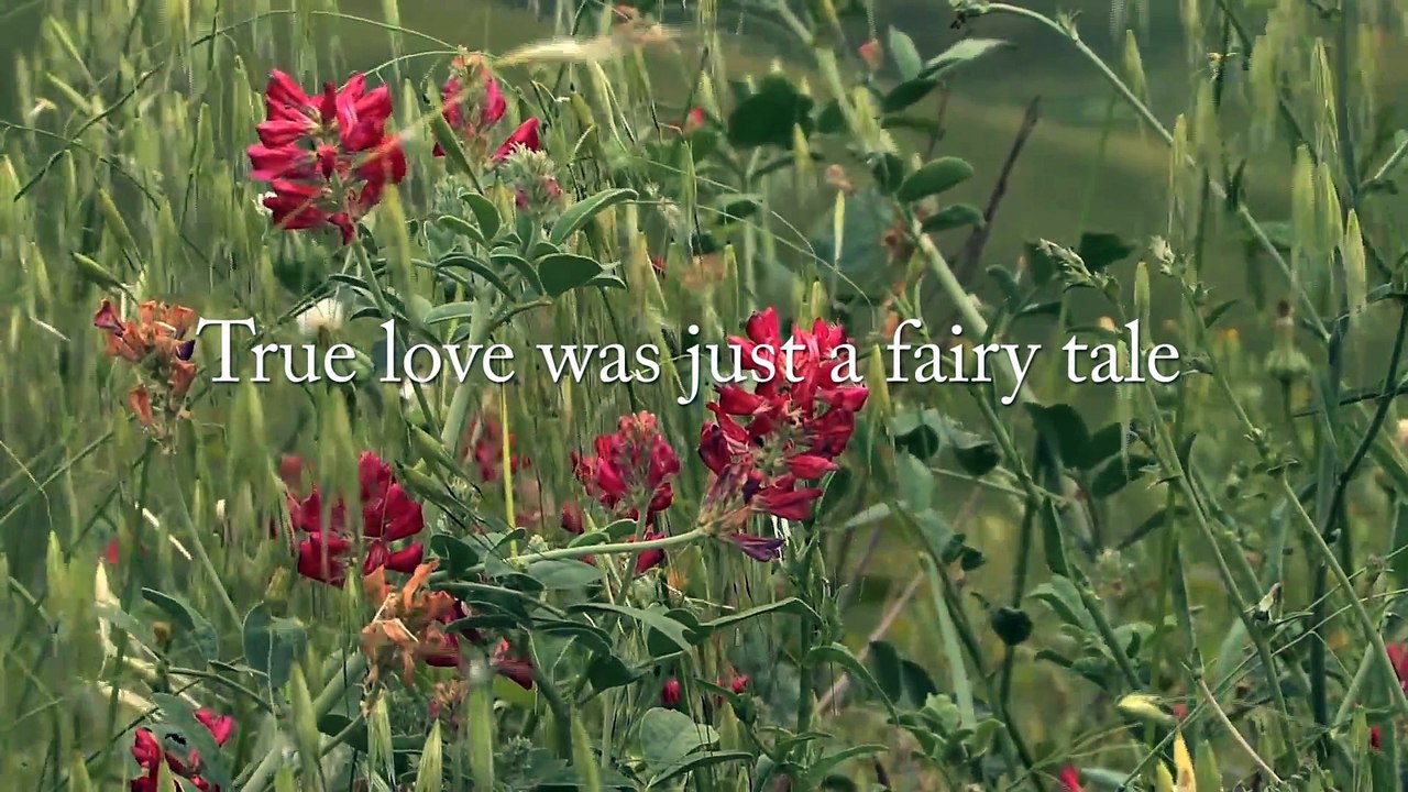 Shadow of the Hawk by K.S. Jones Book Trailer