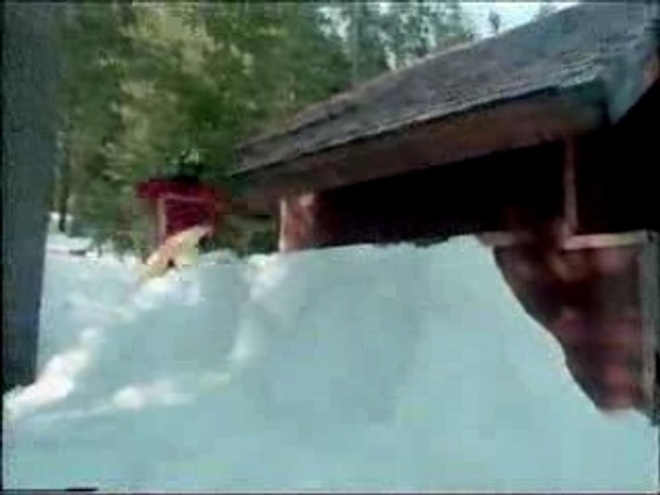 Snowboard - Shaun White