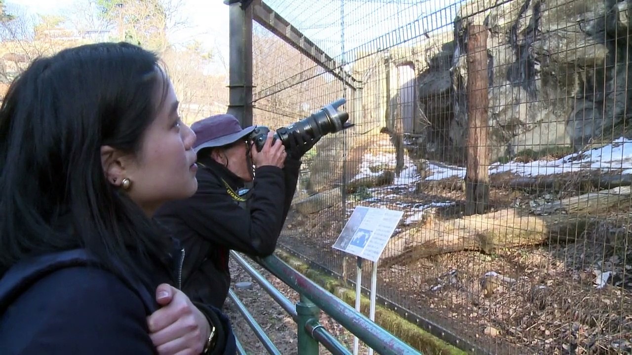 Raubtieralarm: Zoo von Tokio probt den Ernstfall