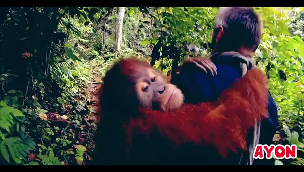 PEOPLE ARE AWESOME 2015 (AMAZING WORLD)