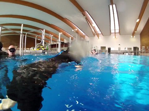 Fosse Meyzieu Eric 1