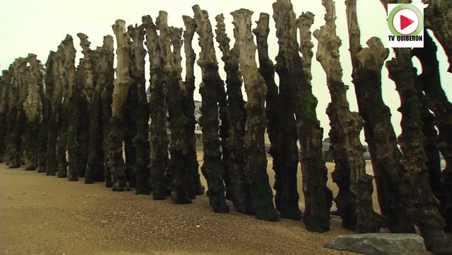 Saint-Malo | La Marée Basse - Bretagne Télé