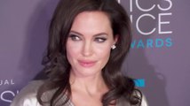 Angelina Jolie Launches Center on Women, Peace and Security in London